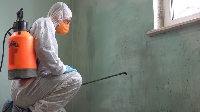 Best Biohazard Mold Removal  in Sisco Heights, WA